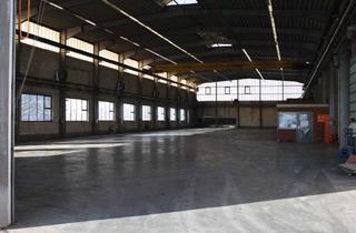 Gewerbeimmobilie mieten in Frankenberger Straße 60, 09661 Hainichen, Logistikhalle