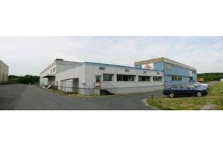 Gewerbeimmobilie mieten in 60388 Bergen-Enkheim, Einlagerungs und Umschlagszentrum Rhein / Main 24 Std. Betrieb ab 50m² Einlagerungsmietfläche