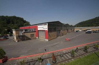 Büro zu mieten in Unterer Hammer, 64720 Michelstadt, Halle - Büro, Lager- und Produktionsflächen