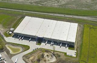 Gewerbeimmobilie mieten in Grenzstraße 11, 06112 Büschdorf, Gefahrstofflager nach BImSchG