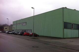 Büro zu mieten in Franz-Grötz-Str., 76571 Gaggenau, Speditions-, Produktions- & Logistikhallen mit Büro- und Freiflächen