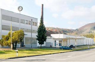 Büro zu mieten in Heimbacher Weg, 55590 Meisenheim, PROVISIONSFREI-Gewerbepark B420: flex. Lager-u.Produktionshallen; Freifläche; Büros; EXISTENZGRÜNDER