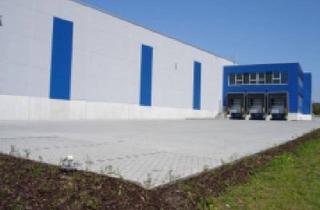 Gewerbeimmobilie mieten in Erlenstraße 1-9, 56587 Oberhonnefeld-Gierend, Lagerfläche in Oberhonnefeld/Westerwald (direkt vom Eigentümer)