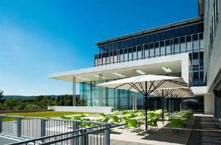 Büro zu mieten in Am Kronberger Hang, 65824 Schwalbach, hillsite | business im grünen Bereich | Büroflächen provisionsfrei vom Eigentümer