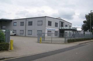 Büro zu mieten in Am Forsthaus 54-56, 52511 Geilenkirchen, Standort für Erfolg: Produktionshalle mit Büro in Geilenkirchen