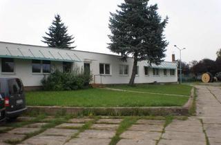 Gewerbeimmobilie mieten in Ihlenfelder Straße 101, 17034 Industrieviertel, BÜROFLÄCHEN IN NEUBRANDENBURG