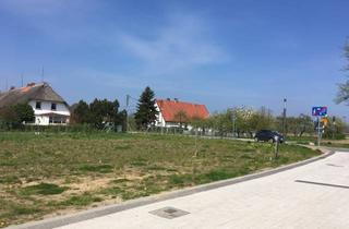 Grundstück zu kaufen in Seestrasse, 23942 Dassow, Landwirtschaftsfläche an der Ostsee mit Potential in herrlicher Gegend in Barendorf
