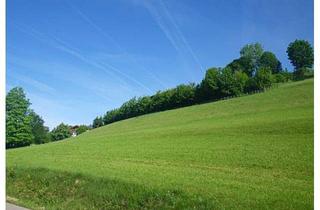 Grundstück zu kaufen in 87541 Bad Hindelang, Bergwiese am Sonnenhang