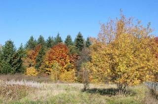 Grundstück zu kaufen in 89520 Heidenheim, Großes Grundstück (ca. 2810 m²) im Grünen nahe Heidenheim und Aalen zu verkaufen - provisionsfrei
