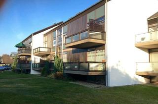 Wohnung mieten in 38518 Gifhorn, Helles 1-Zimmerapartment in moderner Bauweise in ruhiger Wohnlage