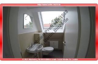 Wohnung mieten in 06886 Lutherstadt Wittenberg, Erstbezug nach Vollsanierung