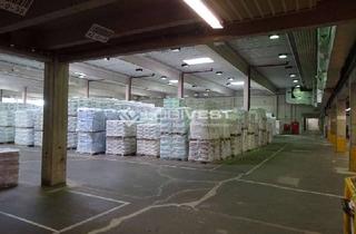 Gewerbeimmobilie mieten in 47228 Bergheim, Logistik Hot Spot Duisburg / Lagerhalle mit Rampentoren und viel Freifläche