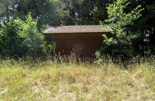 Grundstück zu kaufen in 95194 Regnitzlosau, Bauplatz mit altem Baumbestand