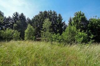 Grundstück zu kaufen in 95194 Regnitzlosau, Bauplatz mit altem Baumbestand