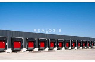 Gewerbeimmobilie mieten in 68169 Neckarstadt, PROVISIONSFREI: ca. 5.000 qm Logistik | Rampe | 7,50 m UKB !