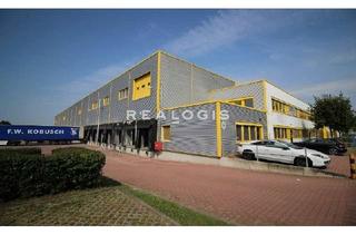 Gewerbeimmobilie mieten in 64589 Stockstadt, PROVISIONSFREI: ca. 7.600 qm Logistik | ebenerdige Tore | 6,50 m UKB !