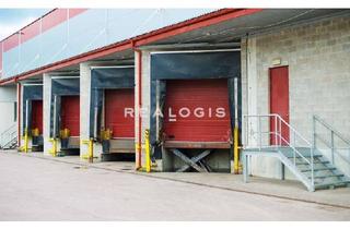 Gewerbeimmobilie mieten in 65428 Rüsselsheim, PROVISIONSFREI: Ca. 4.000 qm Logistik | Rampe | 12 m UKB !