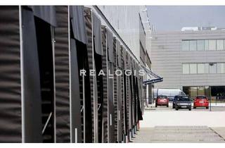 Gewerbeimmobilie mieten in 64521 Groß-Gerau, PROVISIONSFREI: ca. 8.500 qm Logistik | 25x Rampe | 4-9 m UKB !