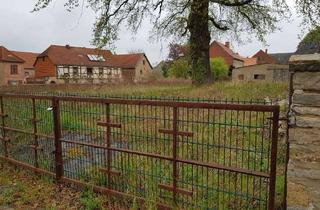 Grundstück zu kaufen in Lange Str. Kurze Str., 39393 Barneberg, Grosses Baugrundstück mit alter Eiche