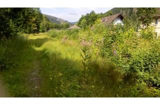 Grundstück zu kaufen in Odertal, 37431 Bad Lauterberg im Harz, Bad Lauterberg, Grundstück