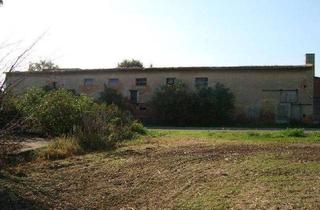 Grundstück zu kaufen in Schafseer Str., 06279 Schraplau, Kleiner landwirtschaftlicher Hof mit Einfamilienhaus und freiem Blick über das Weidatal