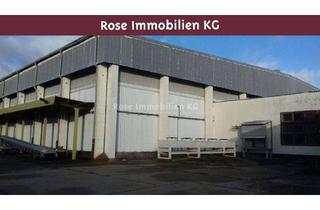 Gewerbeimmobilie mieten in 15328 Küstriner Vorland, ROSE IMMOBILIEN KG: Lagerhalle mit 8,5 m Höhe, Kühlzellen und Außenfläche zu vermieten!