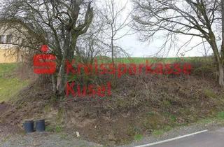 Grundstück zu kaufen in 67752 Rutsweiler, Großer Bauplatz in schöner Lage