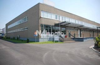 Büro zu mieten in 63179 Obertshausen, Ideale Lage | Keine Provision | 7 m UKB | 3.100m² Halle + 1.400m² Büro