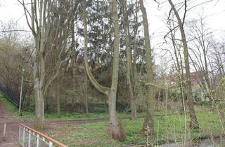 Grundstück zu kaufen in 34537 Bad Wildungen, Attraktives Baugrundstück in Bad Wildungen