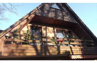 Immobilie mieten in 21435 Stelle, Schickes Studio in Stelle