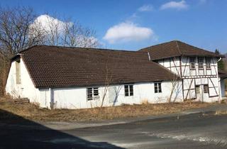 Gewerbeimmobilie kaufen in 31812 Bad Pyrmont, Gewerbeobjekt mit 4 Gebäude