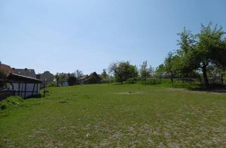 Haus kaufen in 37297 Berkatal, V E R K A U F T !!!! WOHNEN & ARBEITEN !! 2-SEP.WOHNUNGEN*GROSSE SCHEUNE* zzgl. EXTRA-WOHN/oder GEWERBE-GEBÄUDE!!zzgl. GROSSEM BAU-PLATZ /ODER WEIDE DIREKT AM ANWESEN !!DIV.NEBEN-GEBÄUDE!! STALLUNGEN!! AUCH TRADITIONELLE GASTRONOMIE-SOFORT MÖGLICH!!