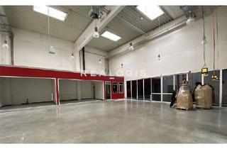 Büro zu mieten in 31319 Sehnde, Sehnde I Hallenfläche I Rampen I BMA vorhanden