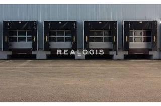 Gewerbeimmobilie mieten in 68623 Lampertheim, Ca. 10.000 qm Lager / Logistik | mehrere Rampen + ebenerdig | 10,50 - 14 m UKB !