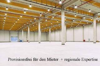 Gewerbeimmobilie mieten in 35447 Reiskirchen, PROVISIONSFREI + regionale Expertise: 13.982 m2 Logistikhalle zu vermieten
