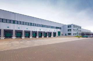 Gewerbeimmobilie mieten in 46569 Hünxe, Logistikpark | WGK | 12 m UKB | Sprinklerung | nutzerspezifisch