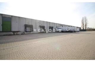 Gewerbeimmobilie mieten in 65428 Rüsselsheim, Ca. 8.000 qm Lager- / Logistikflächen direkt an der A671!