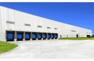 Gewerbeimmobilie mieten in 65428 Rüsselsheim, Ca. 20.000 qm Neubau Logistik | Rampe +ebenerdig | ca. 12m UKB !