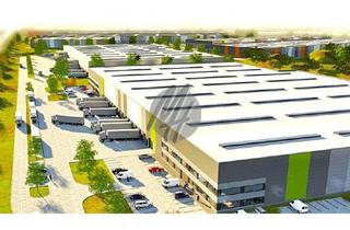 Büro zu mieten in 63762 Großostheim, NEUBAU ✓ 24/7-NUTZUNG ✓ Lager-/Logistik (20.000 m²/teilbar) & Büro (2.000 m²/teilbar) zu vermieten