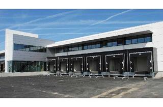 Gewerbeimmobilie mieten in 84130 Dingolfing, PROVISIONSFREI! ca. 10.000 m² Neubau Lager- und Logistikfläche nahe dem BMW-Werk