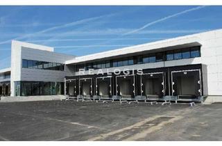 Gewerbeimmobilie mieten in 94522 Wallersdorf, Wallersdorf, ca. 50.000 m² Neubau Lagerhalle zu vermieten
