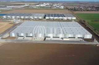 Gewerbeimmobilie mieten in 39171 Sülzetal, bis zu 30.000 m² Logistikfläche (Cross-Dock) am Magdeburger Stadtrand