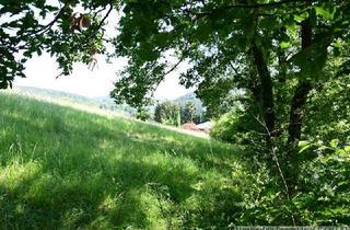Grundstück zu kaufen in 67752 Wolfstein, Bauplatz in Wolfstein