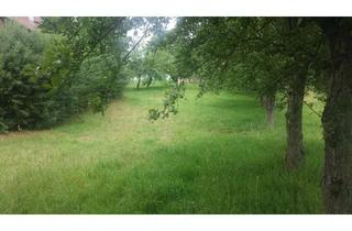 Haus kaufen in 01468 Moritzburg, Ein eigenes Haus ist noch immer die beste Altersvorsoge!