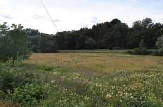 Grundstück zu kaufen in 57520 Steinebach, Schönes Baugrundstück in Steinebach