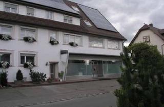 Büro zu mieten in 78166 Donaueschingen, Verkaufs-/ Lagerflächen nebstMontage und Büroflächen