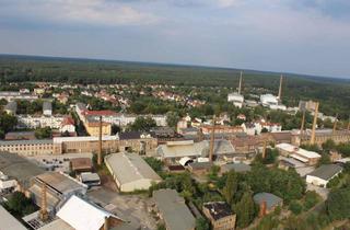 Gewerbeimmobilie mieten in 02923 Kodersdorf, 1900 qm Lager- oder Produktionshalle provisionsfrei zu vermieten