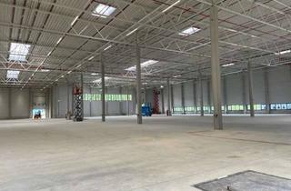 Gewerbeimmobilie mieten in 21218 Seevetal, Mietbeginn jetzt! Lager- / Produktions- / Serviceflächen