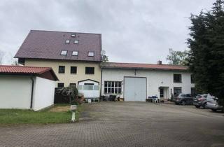 Immobilie kaufen in Am Birkenwäldchen, 39288 Burg, Gewerbeimmobilie mit großem Grundstück
