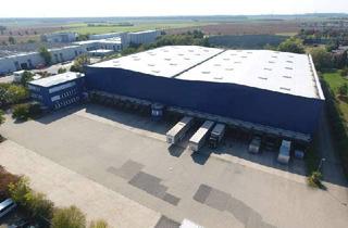 Gewerbeimmobilie mieten in 68649 Groß-Rohrheim, Ca. 3.100 qm Lager / Produktion | Rampe + ebenerdiges Tor | 11,00 m UKB!